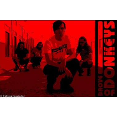 Imagen Drove of donkeys / Indie-Rock